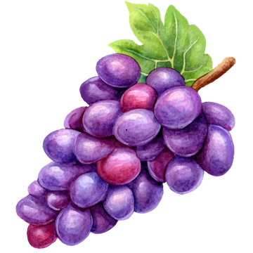 vína